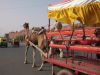 Agra