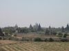 Bagan