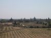 Bagan