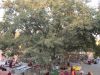 Bodhgaya