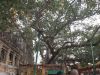 Bodhgaya