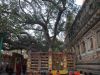 Bodhgaya
