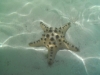 Bohol - Panglao Island