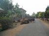 Bolaven Plateau