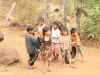 Bolaven Plateau