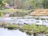 Bolaven Plateau
