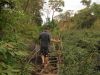 Bolaven Plateau