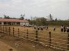 Bolaven Plateau