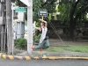 Manila