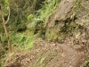 Batad