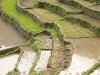 Batad