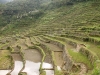 Batad
