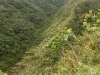 Batad