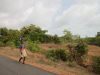Palolem