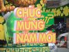Ho Chi Minh City