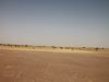 Jaisalmer