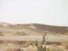 Jaisalmer