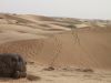 Jaisalmer