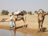 Jaisalmer