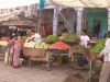 Jodhpur
