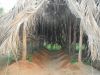 Kampot, Kep e Koh Tonsay (Rabbit island)