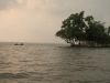 Kochi