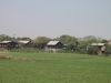 Mandalay (Via Yangon)