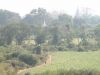 Mandalay (Via Yangon)