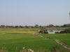 Mandalay (Via Yangon)
