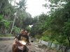 Negros  - Dumaguete a Bocolod