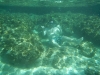 Palawan – El Nido (Arquipélago de Bacuit)