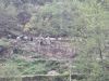 Trekking Annapurna