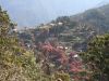 Trekking Annapurna