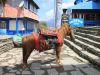 Trekking Annapurna