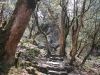 Trekking Annapurna