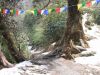 Trekking Annapurna
