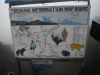 Trekking Annapurna