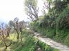 Trekking Annapurna