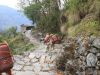 Trekking Annapurna