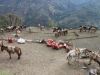Trekking Annapurna