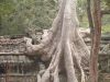 Siem Reap e os Templos de Angkor