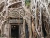 Siem Reap e os Templos de Angkor