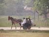 Tansen