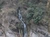 Tansen