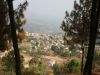 Tansen