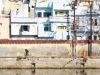 Udaipur