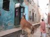 Varanasi