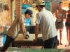 Vinh Long – Chau Doc (O Delta do Rio Mekong)